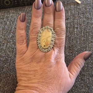 Elegant Picture Jasper Statement Ring